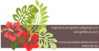 Hibiscus Remixed Clip Art